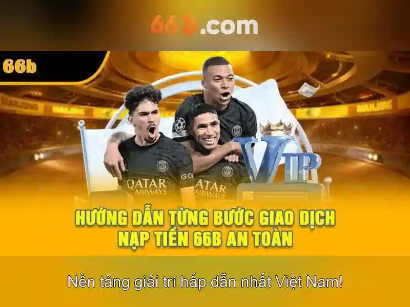 Về 66B trong công nghệ và cộng đồng