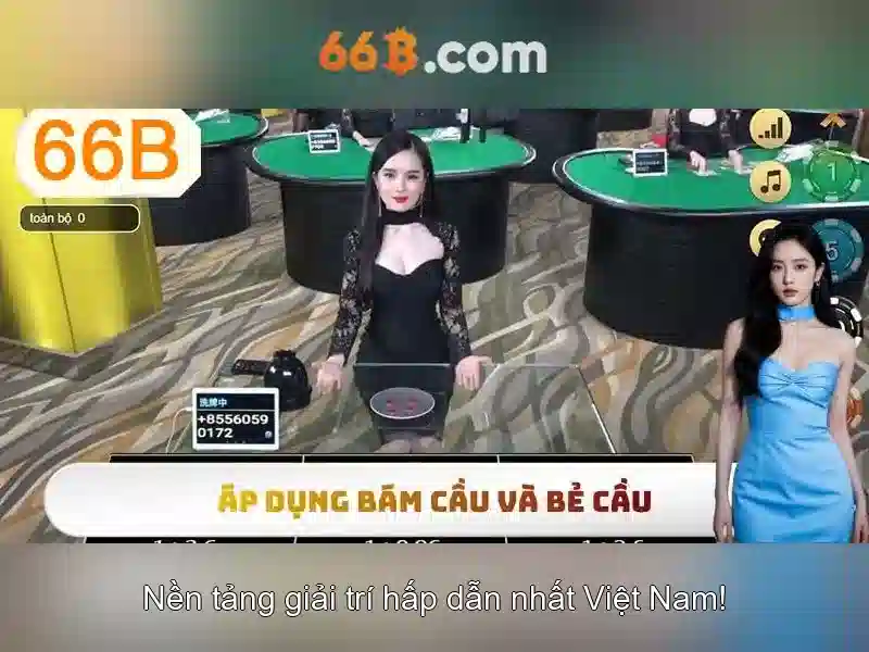 66b: tổng quan và tác động