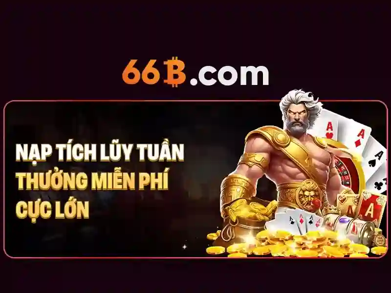 66b hạ long vũng tàu – Trải nghiệm kết nối du lịch và di chuyển Giao diện nhà cái hoàn hảo