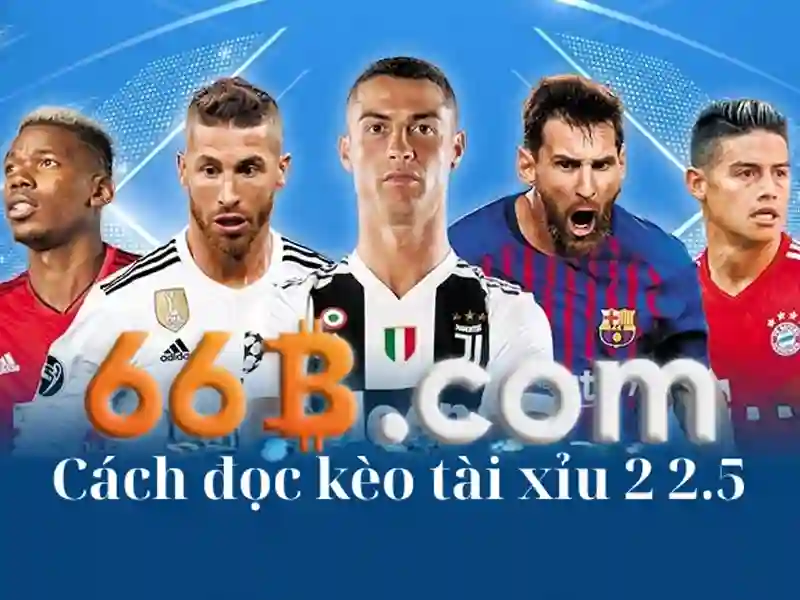 Phan hoi cua nguoi dung