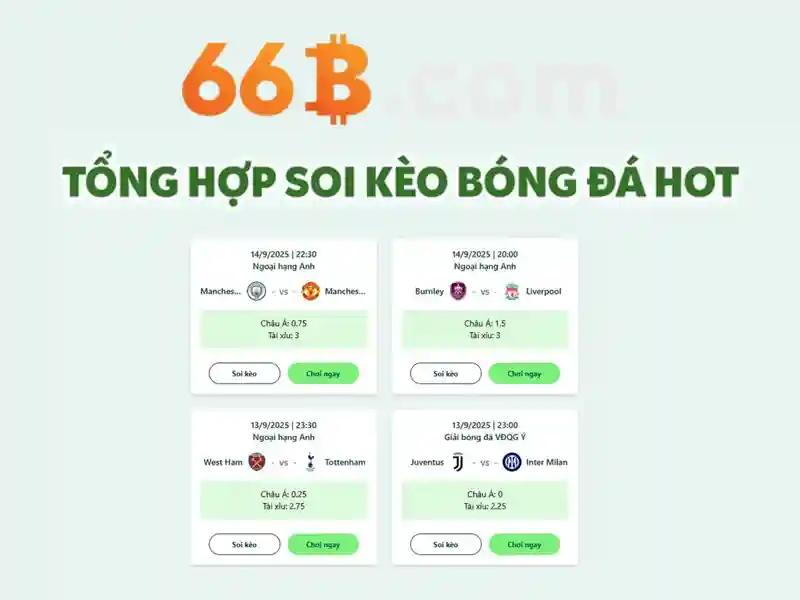 Giao diện sảnh cược đá gà trực tuyến chuyên nghiệp tại nhà cái 66b
