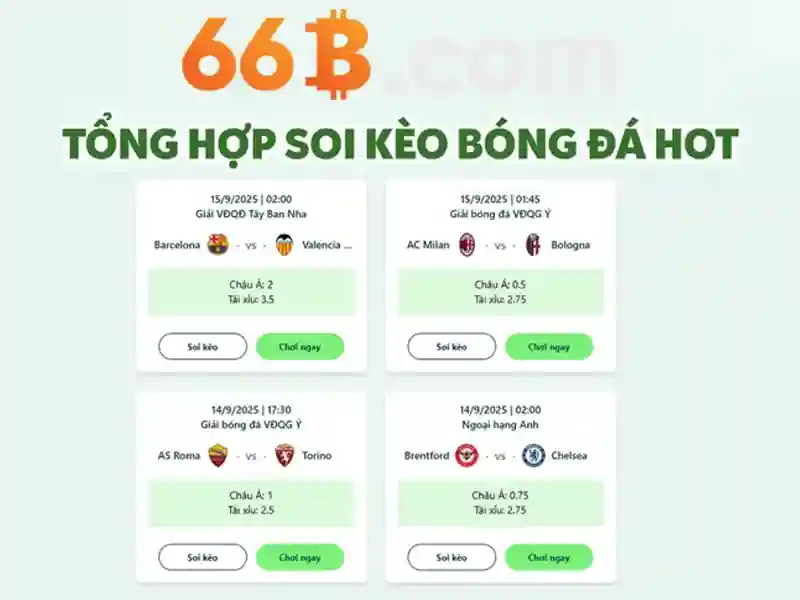 66b busz menetrend – Trải nghiệm người dùng và phản hồi cộng đồng