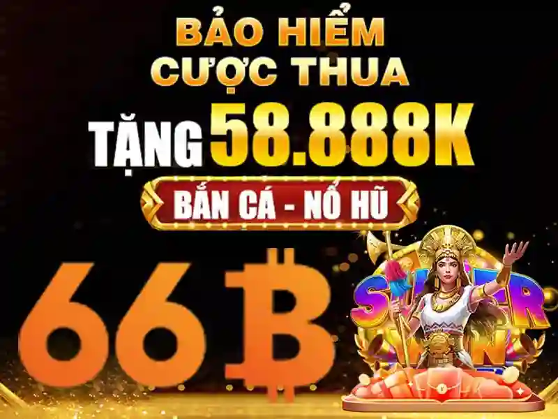 66b nss – Tổng quan chủ đề và giá trị cốt lõi