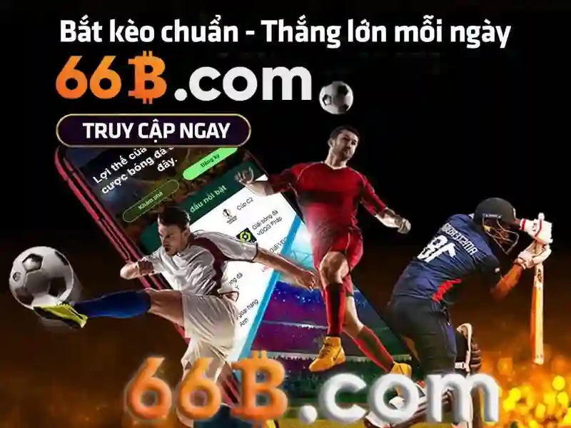 Giao dịch 66b: Hành trình phát triển và trải nghiệm