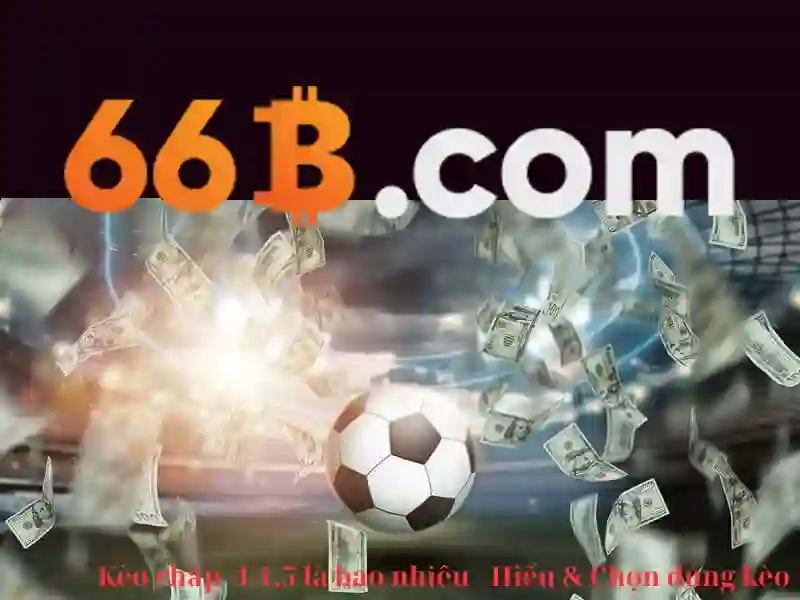 66b nss – Định hình tương lai thương hiệu và trải nghiệm